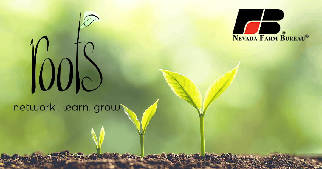 ROOTS - Networking