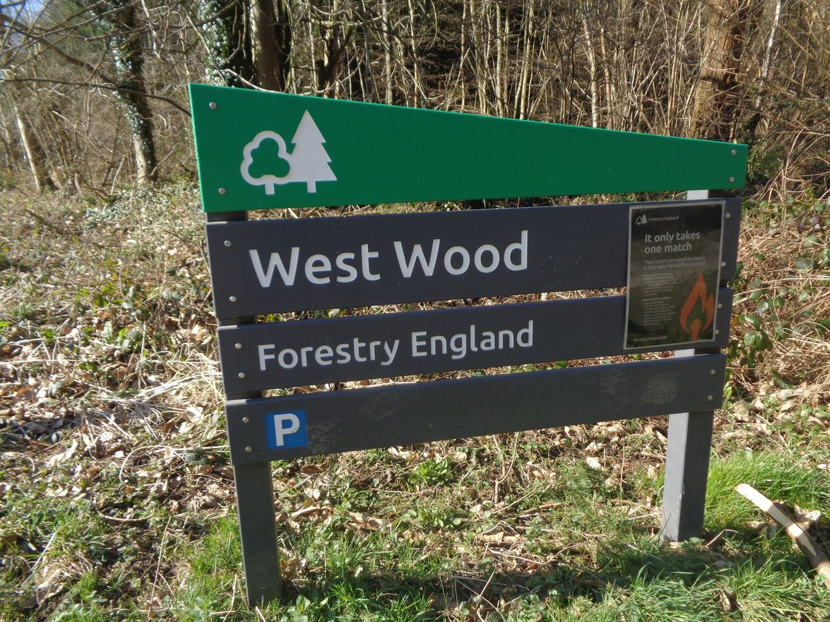 West Wood 11 mile walk