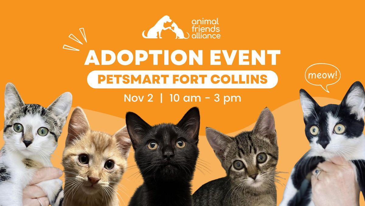 Adoption Event at Petsmart Fort Collins