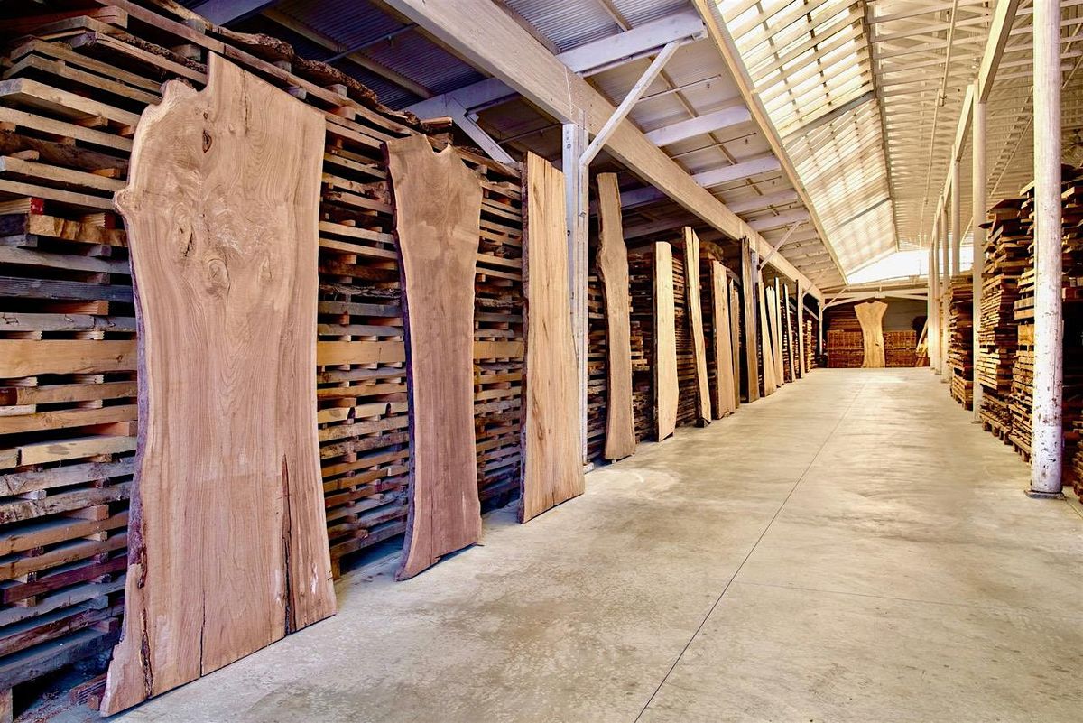 Explore Arborica: A field trip for the wood lover