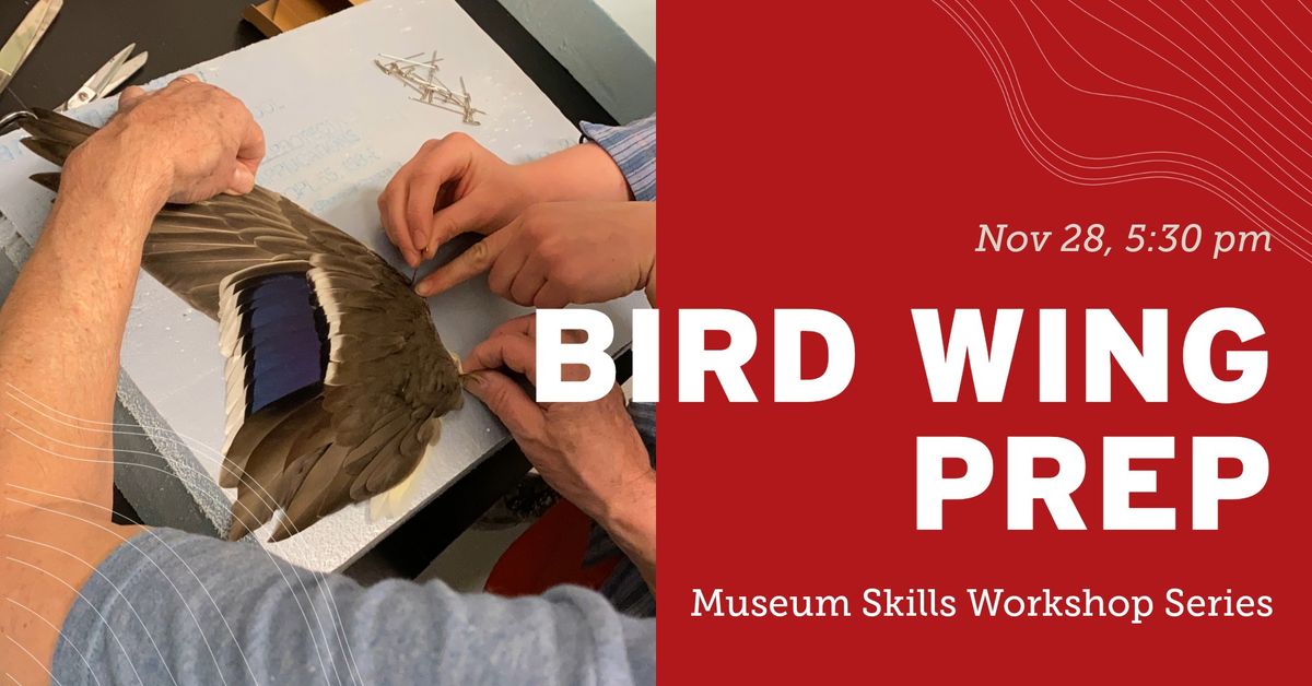 Bird Wing Preparation Workshop