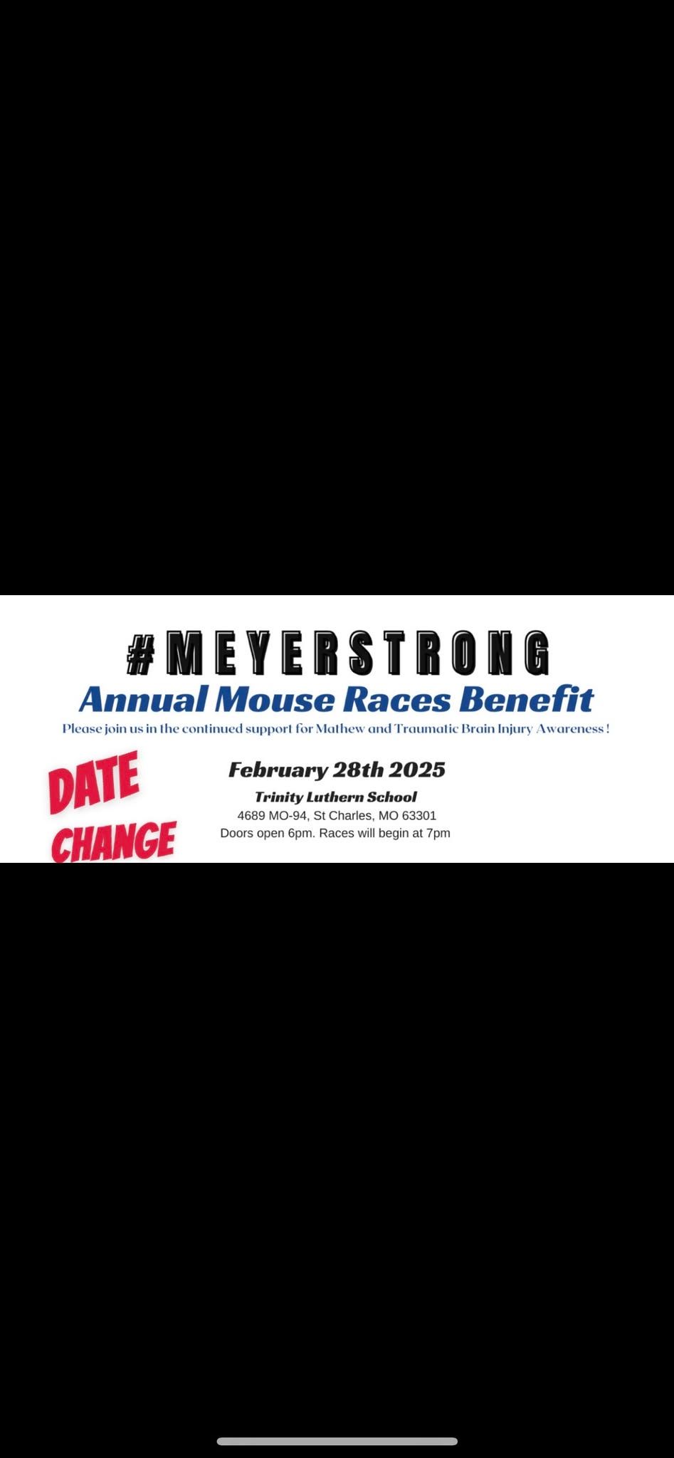 MEYERSTRONG Annual Mouse Races Benefit