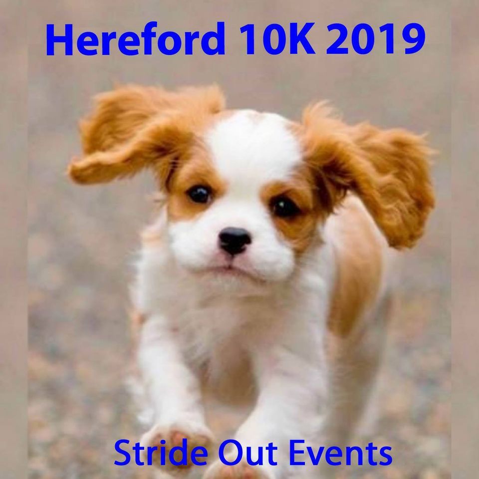 Hereford Winter 10K 2025