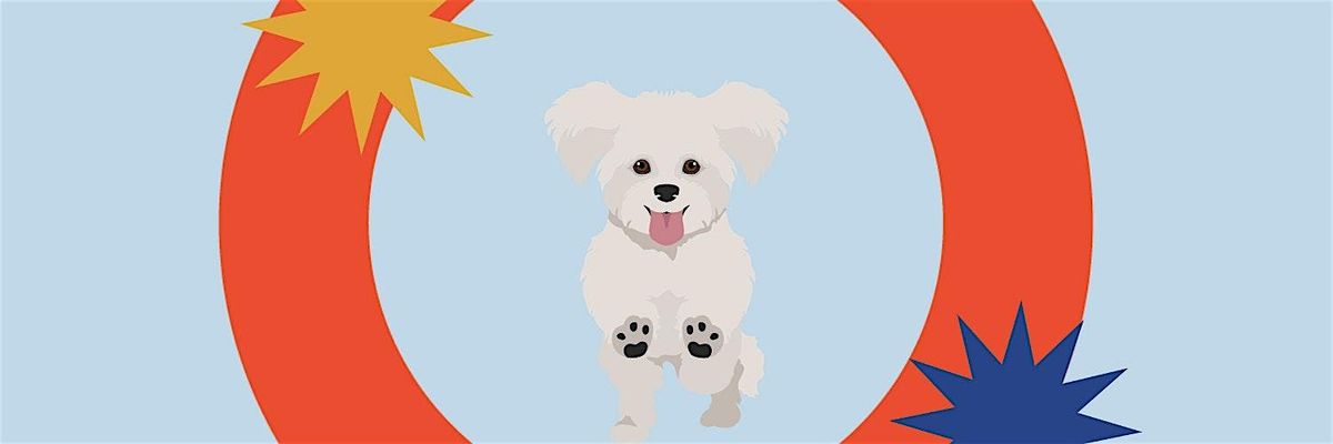 Bichon Fris\u00e9 Meetup!