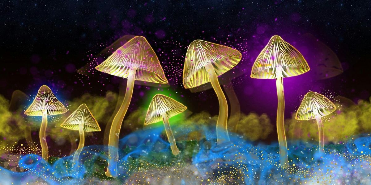 The Science of Psychedelics with Dr Sam Gandy