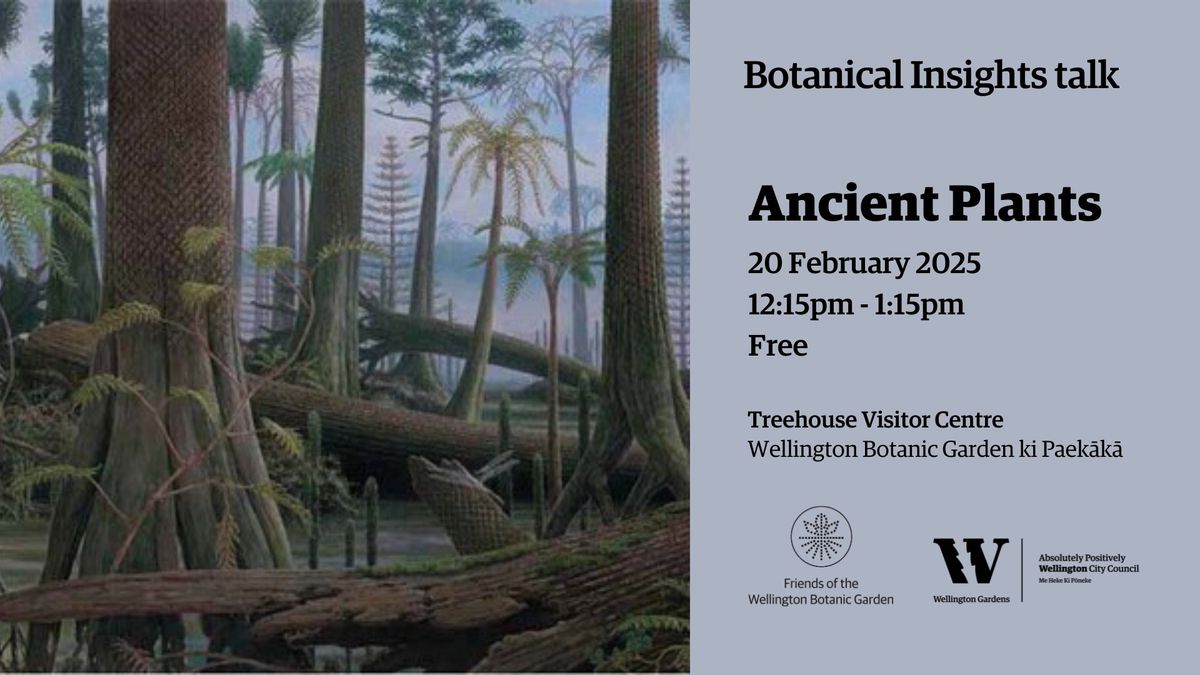 Ancient Plants \u2013 Insights talk 