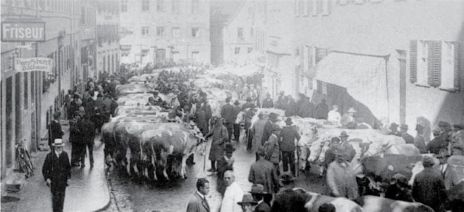 Book Talk: Jewish Cattle Traders in the German Countryside, 1919-1939