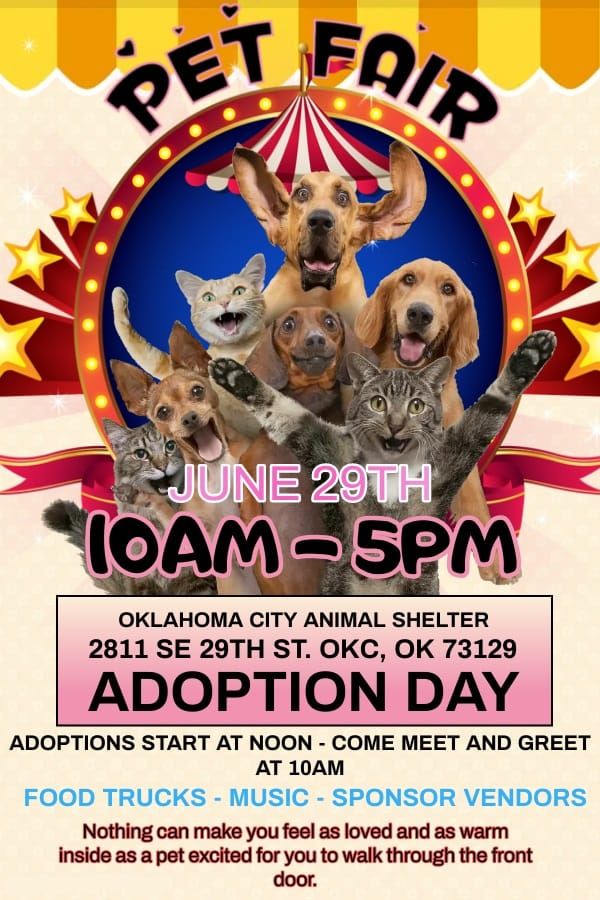 OKC Animal adoption and fundraiser