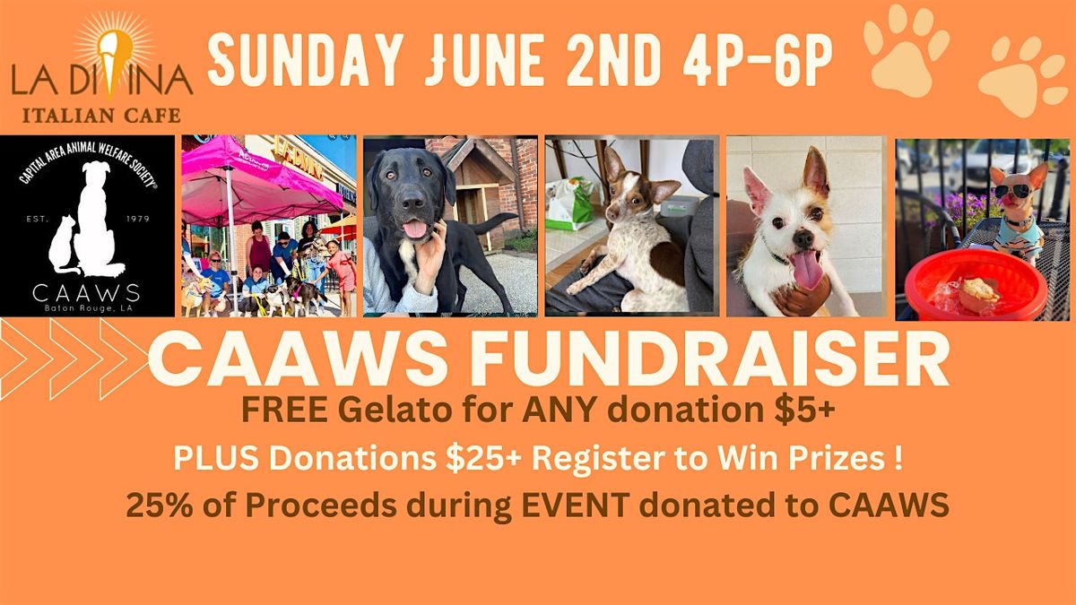 Gelato Love for Dogs:   A CAAWS Fundraiser Sunday, June 2nd 4p-6p