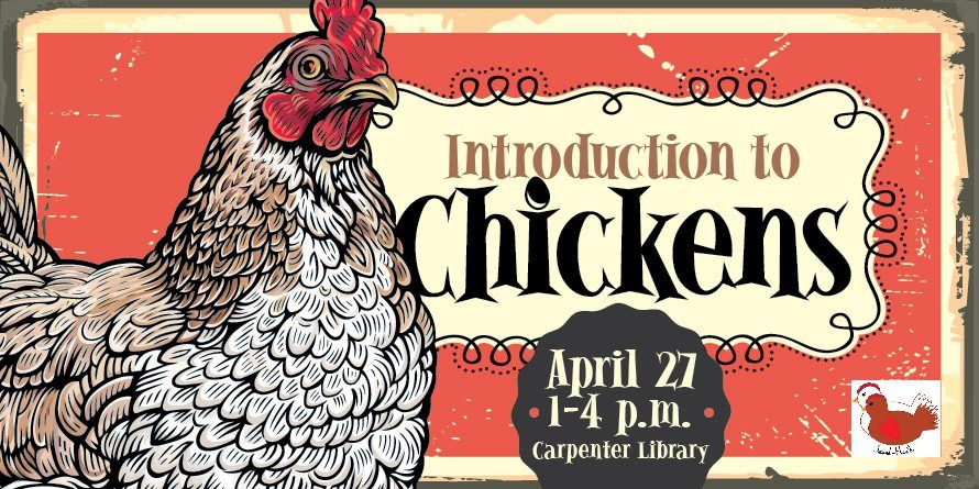 Introduction to Chickens