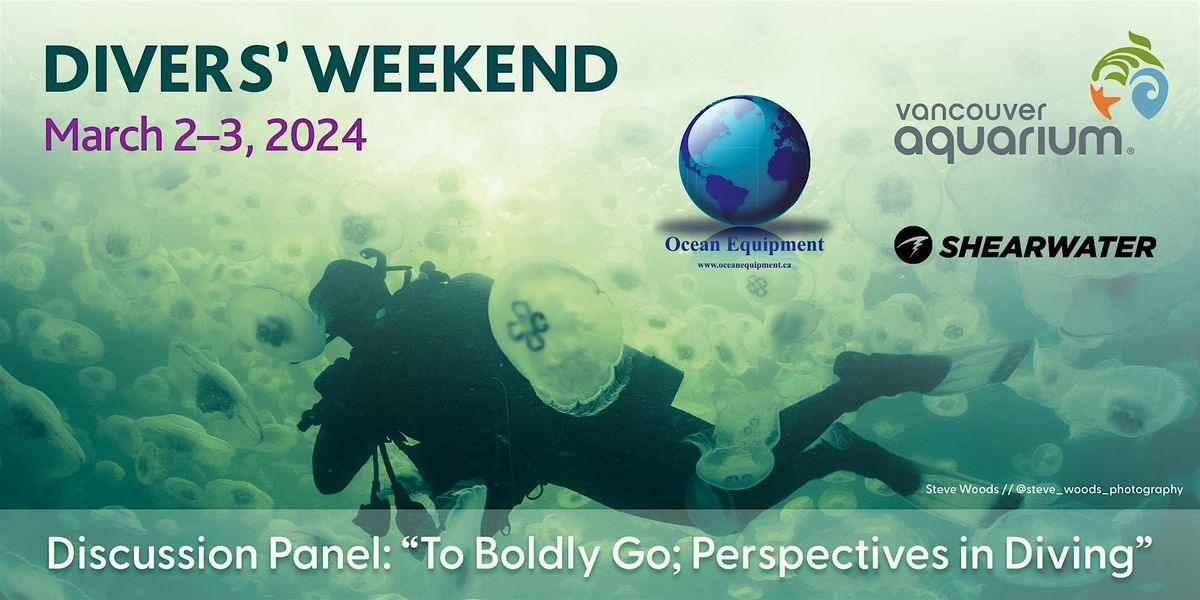 To Boldly Go: Perspectives in Diving