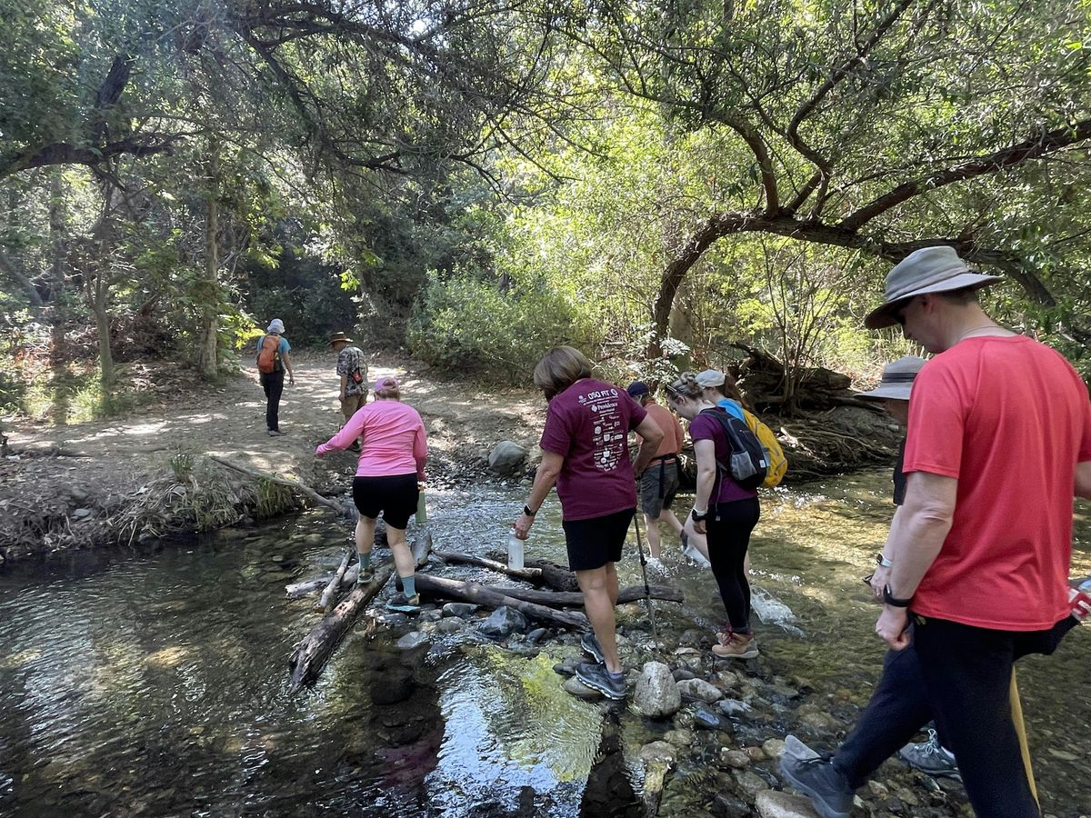 Guided Hike at Arroyo Trabuco Trail - City of Mission Viejo