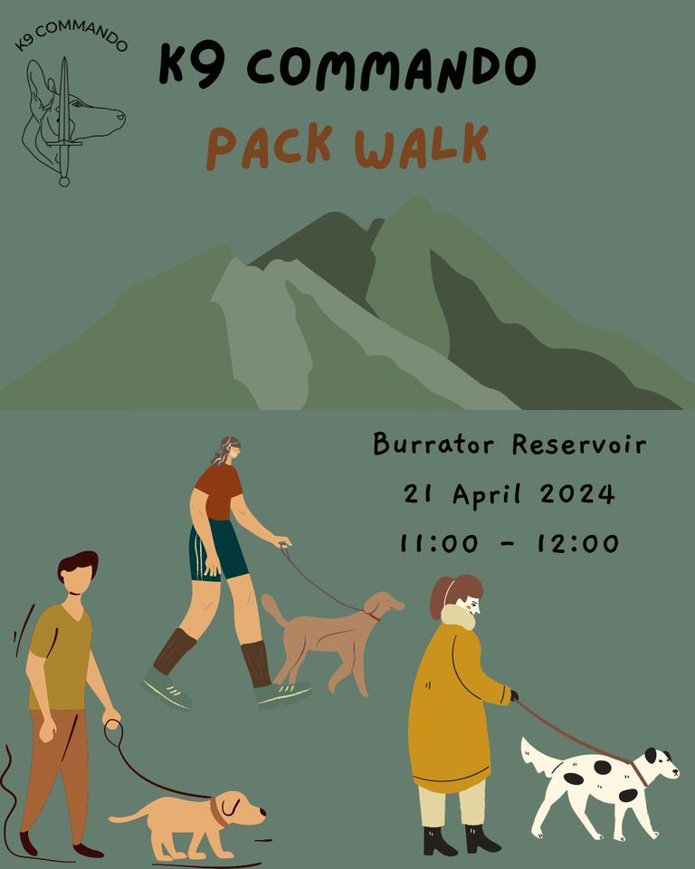 Pack Walk - Burrator Reservoir
