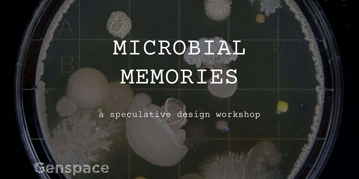 Microbial Memories: A Speculative Design Workshop