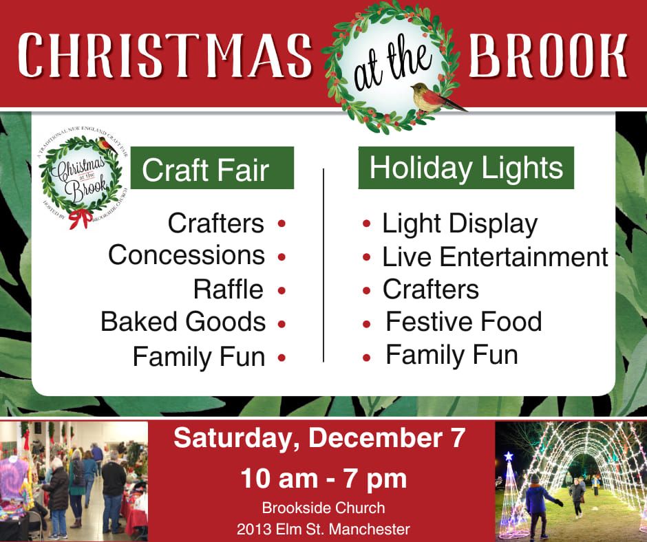 Craft Fair and Holiday Lights