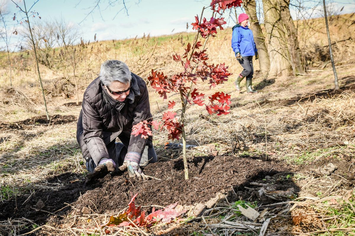 Volunteer at Pennypack on the Delaware Park