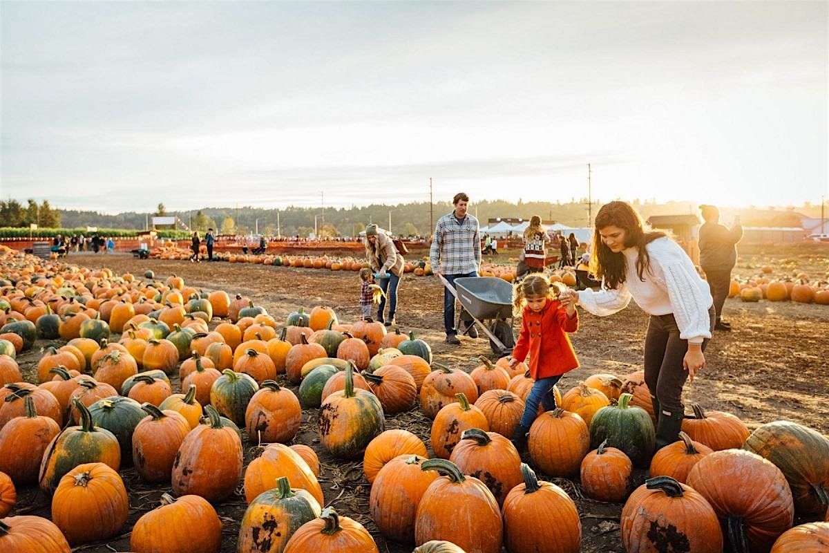 Fredericksburg Pumpkin Patch & Hayrides