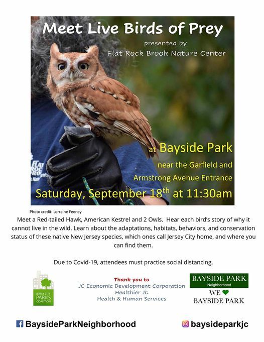 Meet Live Birds of Prey at Bayside Park