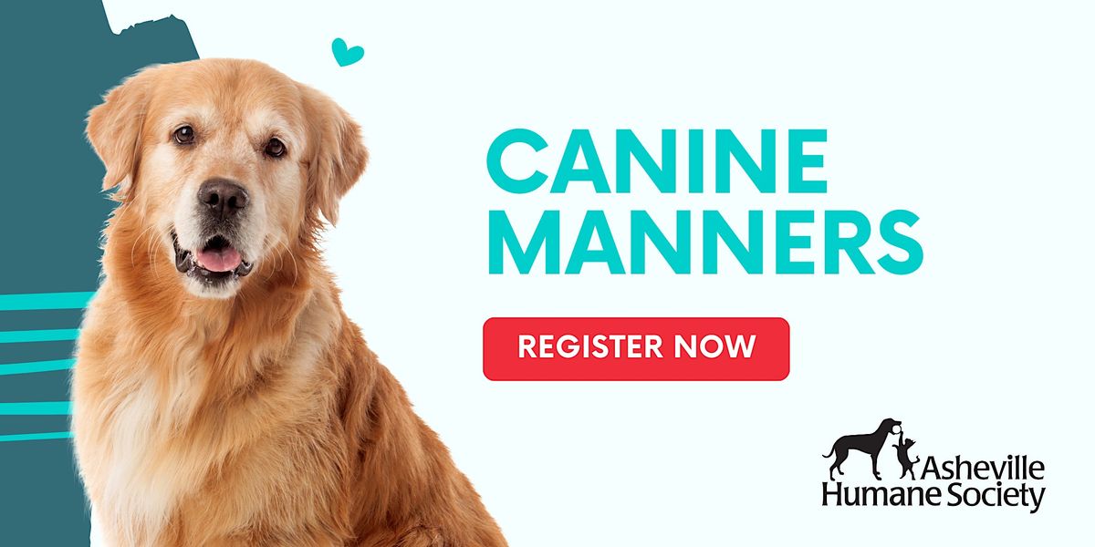 Canine Manners Course