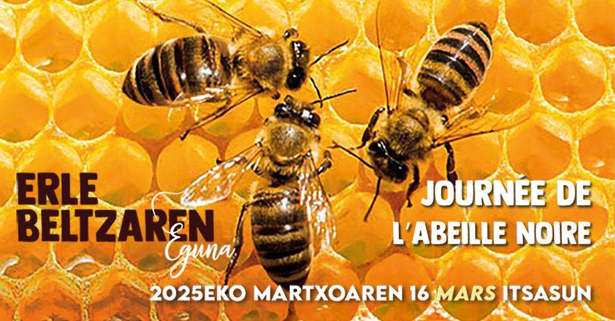 Journ\u00e9e de l\u2019abeille noire \/ Erle Beltzaren Eguna