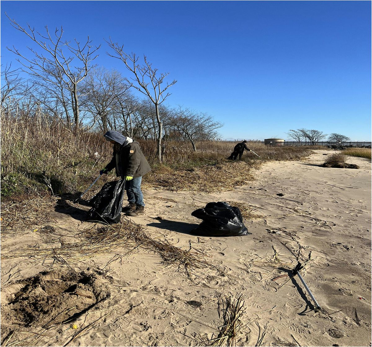 November CleanSweep: Hamilton Beach Park Shoreline Cleanup