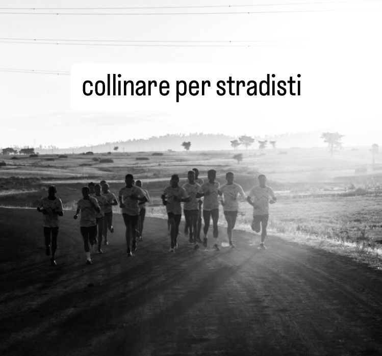 Il collinare 