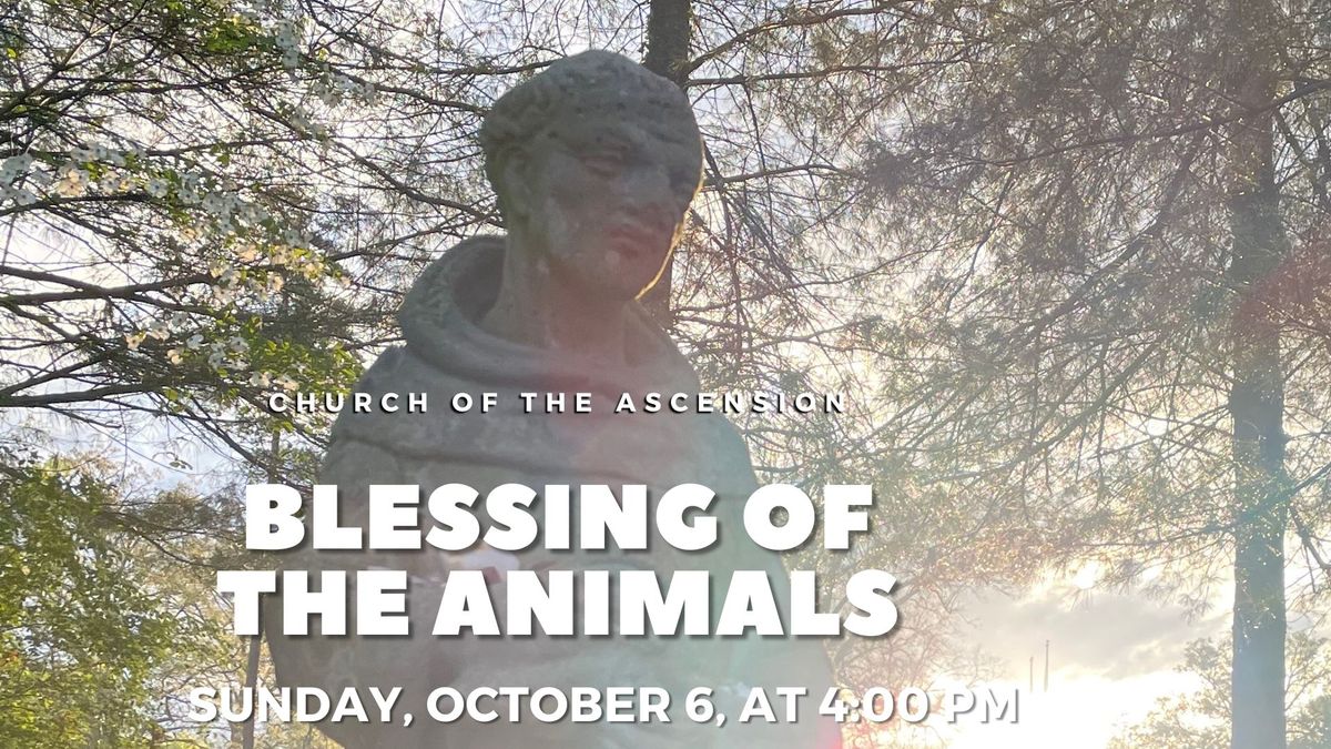 Blessing of the Animals