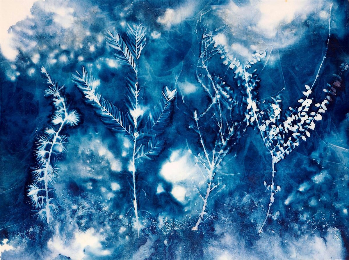 Atelier cyanotype