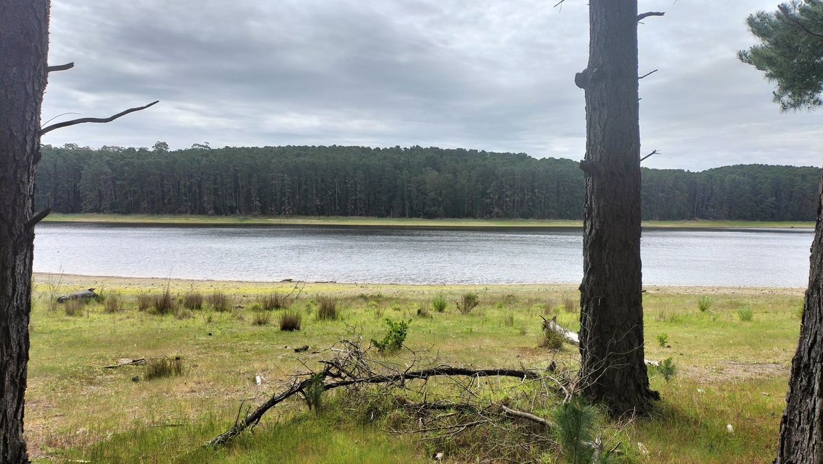 Myponga reservoir 