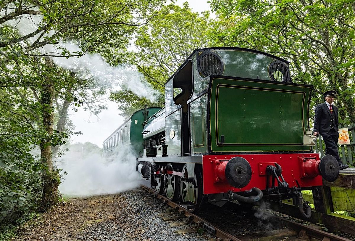 Winter 'Steam-Up'   at the Helston Railway