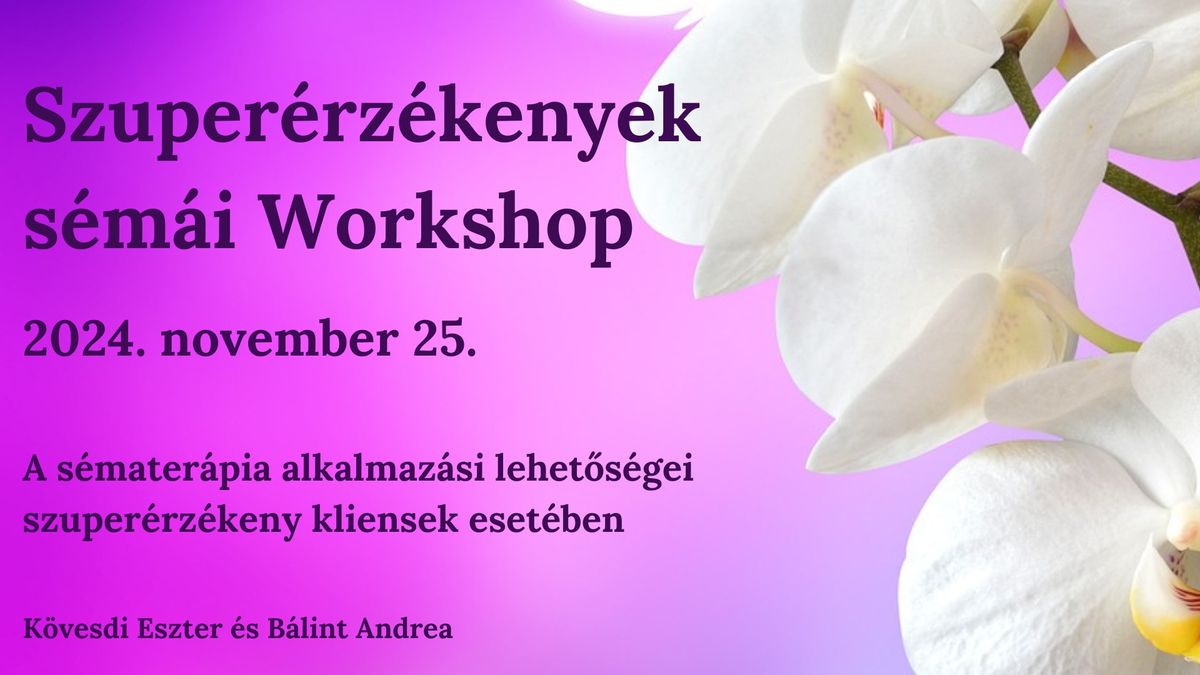 Szuper\u00e9rz\u00e9kenyek s\u00e9m\u00e1i Workshop