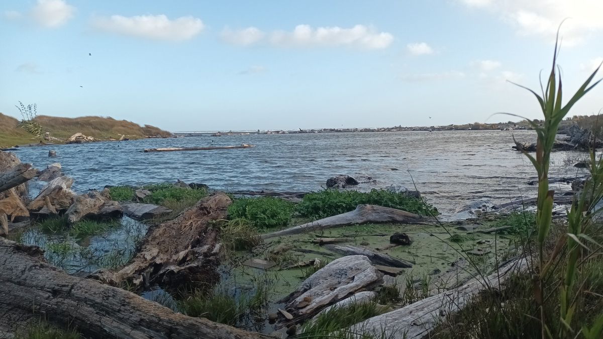 South Beach to Kaitoke Stream Evening Walk