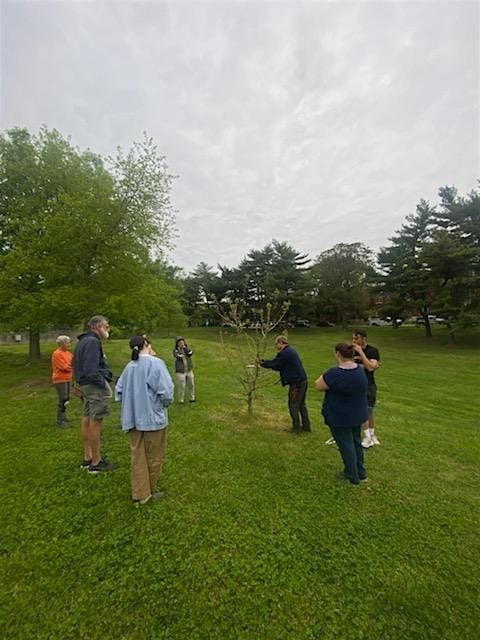 Benton Park Tree Care Blitz