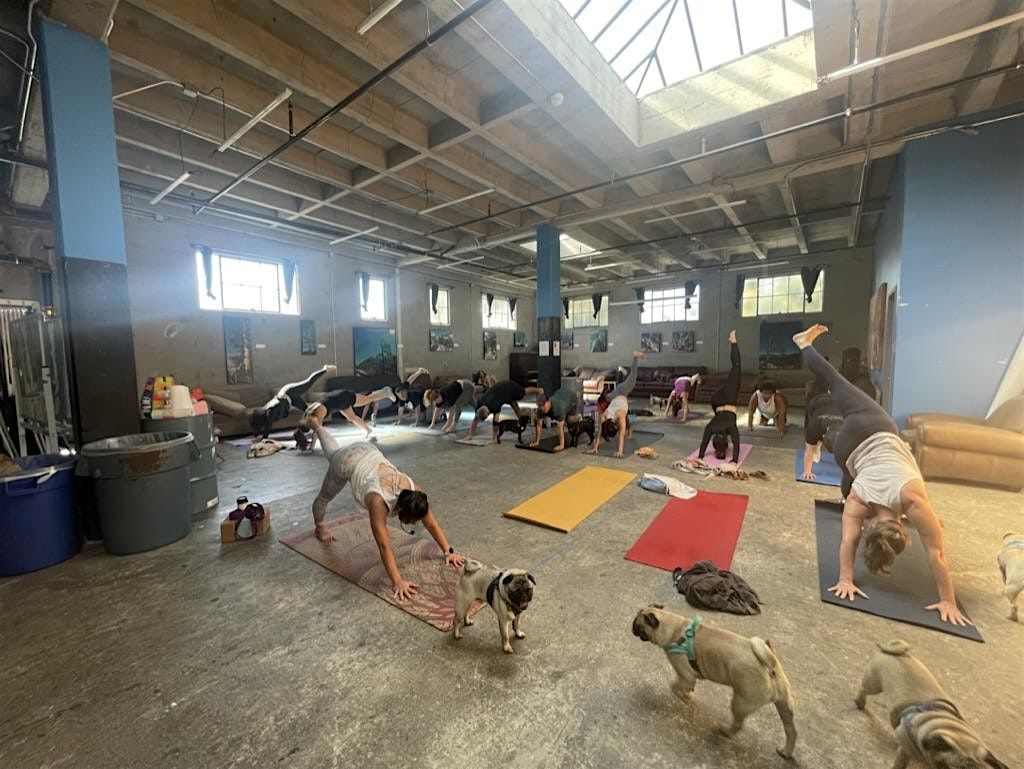 Pug Yoga - Summer 2024