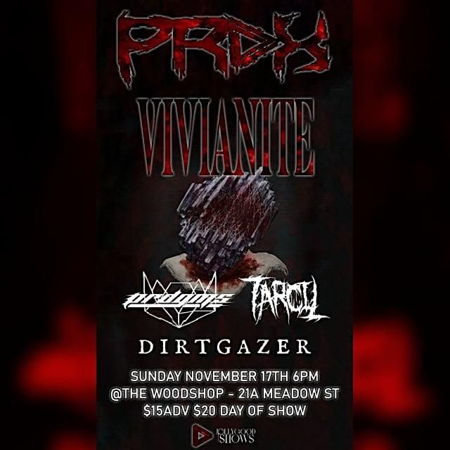 PRDX, VIVIANITE, PRDGMS, TARCIL, DIRTGAZER @ THE WOOD SHOP BKNY