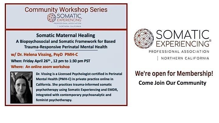 Somatic Maternal  Healing a Biopsychosocial  Perinatal Mental Health Model