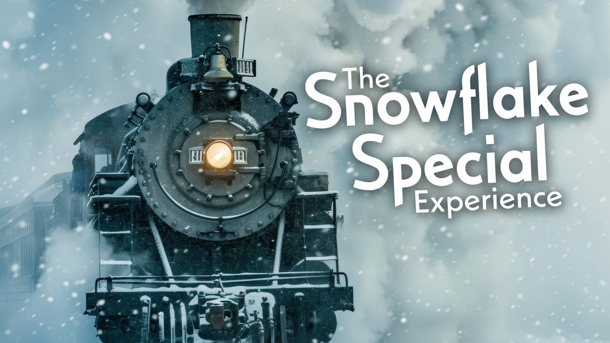 The Snowflake Special Experience