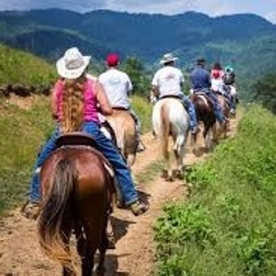 Cowboy Fellowship of Wilson County