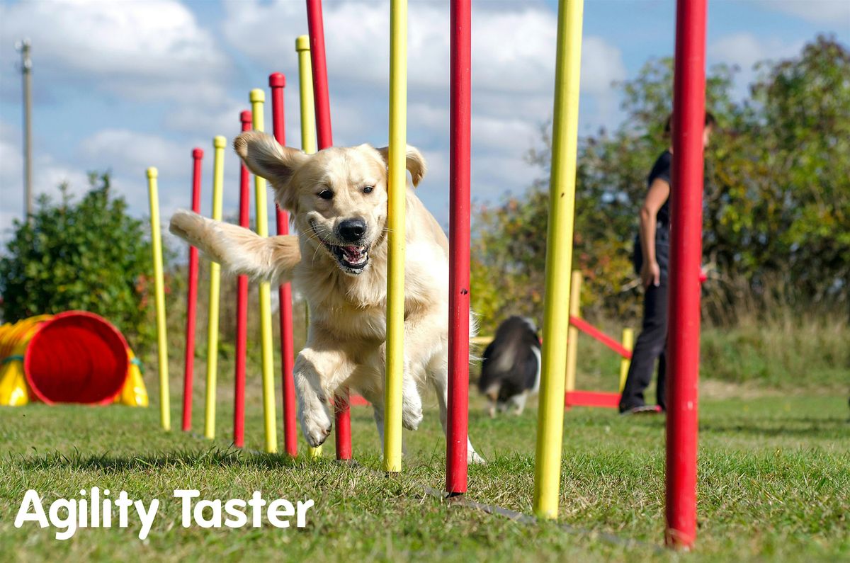 AGILITY TASTER @ DSPCA