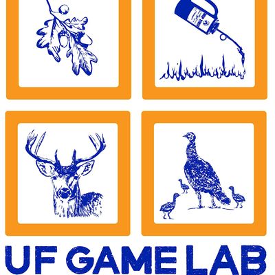 UF Game Lab