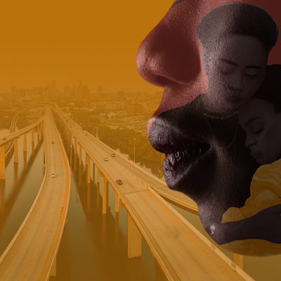 Maternal Instinct by Dr. Stacey Eadie