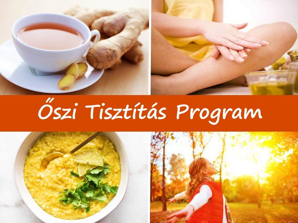 \u0150szi Tiszt\u00edt\u00e1s Online Otthoni  Program