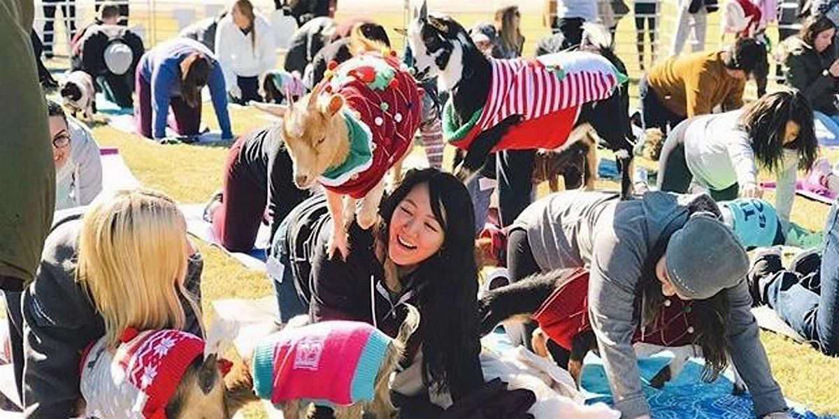 Holiday Goat Yoga McKinney @ The Stix!