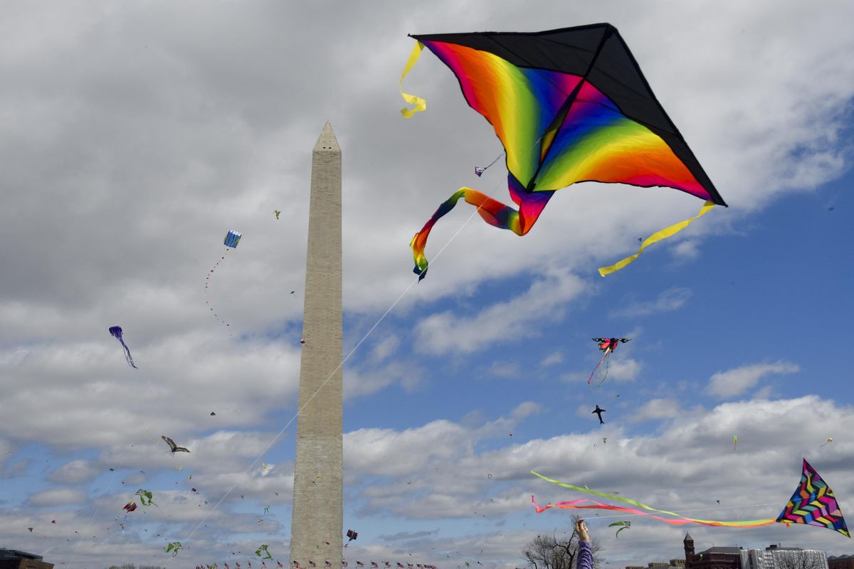 Blossom Kite Festival - FREE In-Person Event - Washington, DC