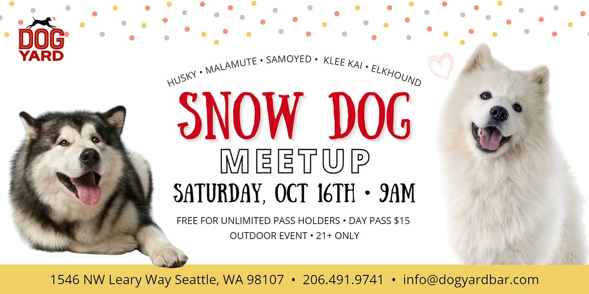 Snow Dogs Meetup at the Dog Yard - Husky, Samoyed, Malamute, Klee Kai