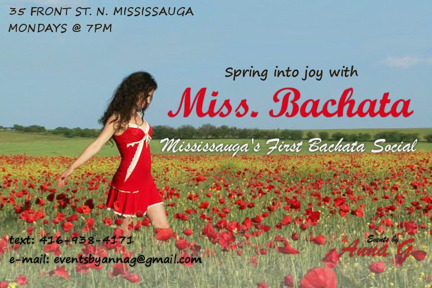 Bigger, Better, Bolder Miss Bachata & Miss Salsa!