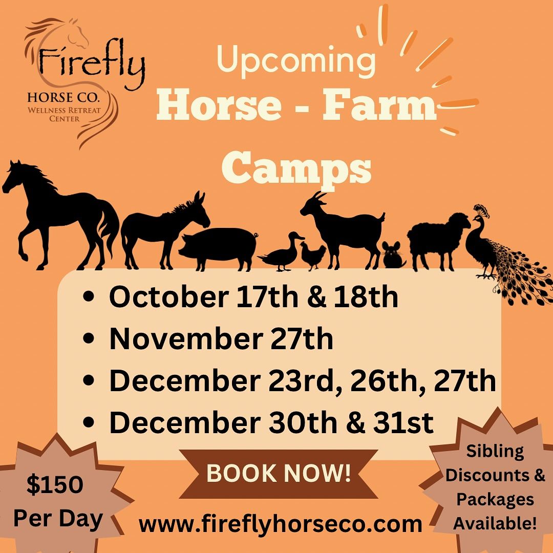 Firefly Horse Co. Horse & Farm Camps