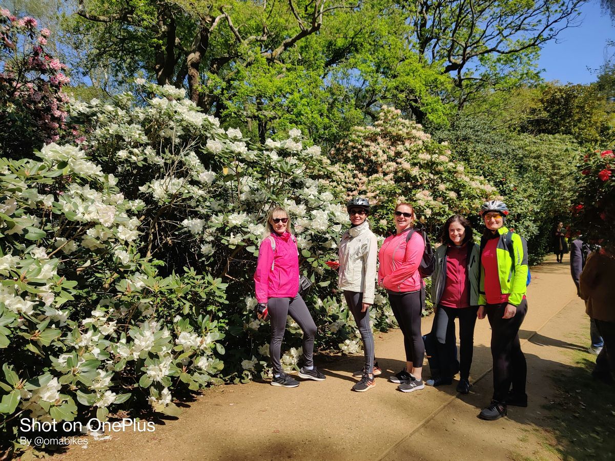 Short Leisurely Bike Ride to Isabella Plantation in Richmond Park