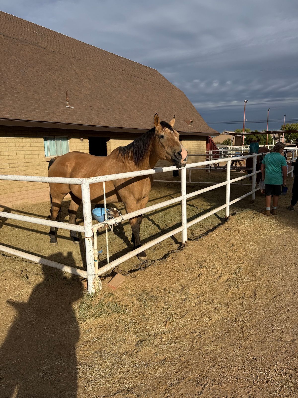 Thanksgiving at the Barn