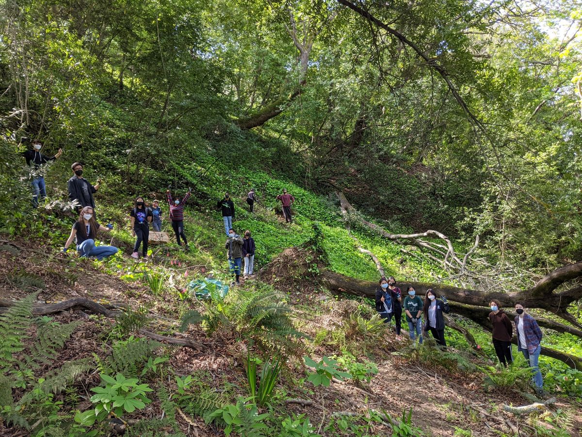 Volunteer with the Garber Park Stewards